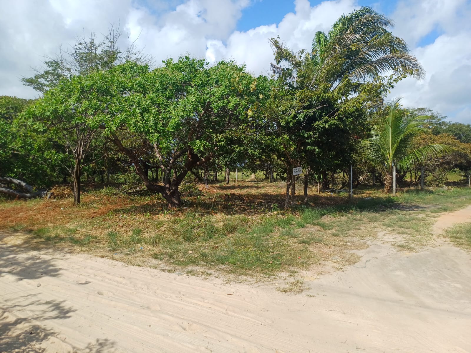 Lotes à Venda – Bairro da América | Salinópolis