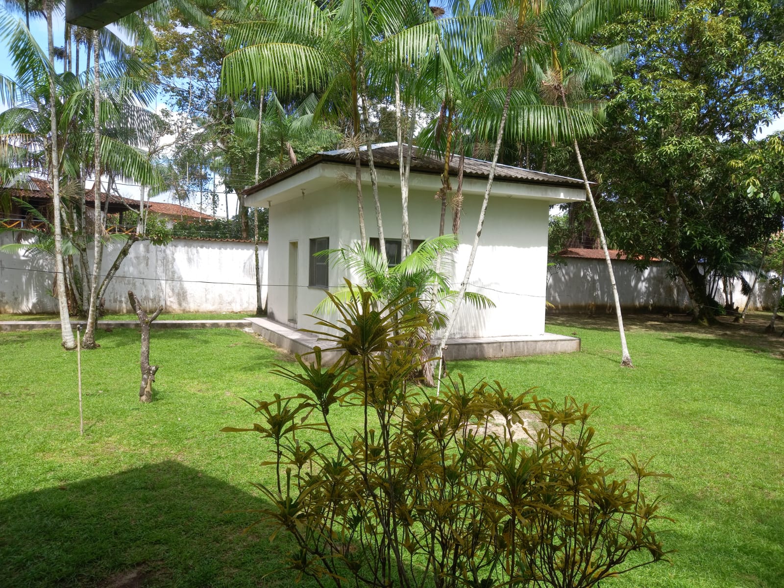 Foto 4